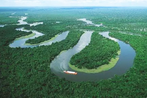 亚马逊森林